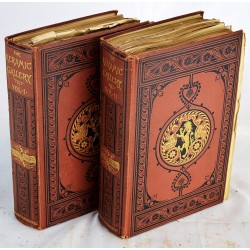 The Keramic Gallery: Containing Several Hundred Illustrations of Rare, Curious and Choice Examples of Pottery and Porcelain